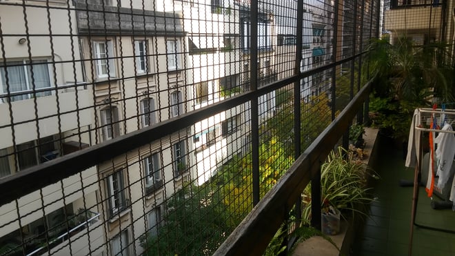 CAPAStudyAbroad_BuenosAires_Spring2016_From_Liz_Hendry_-_View_from_the_beautiful_balcony.jpg