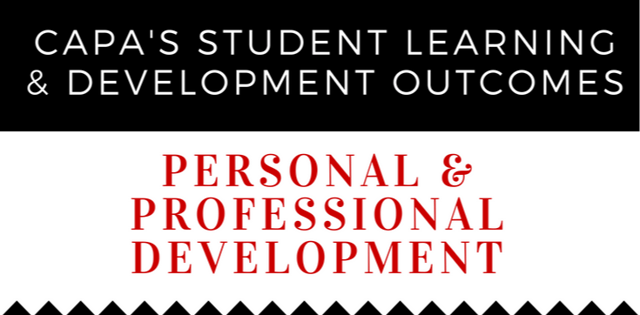 SLDOs - Personal and Professional Development