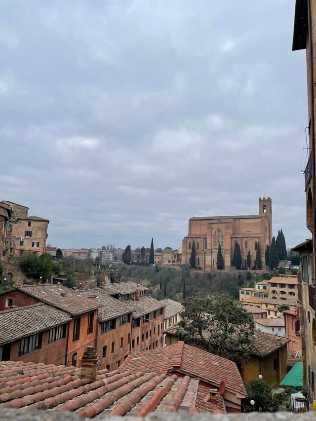 View of Siena and the Basilica Caterina San Domenico in Italy