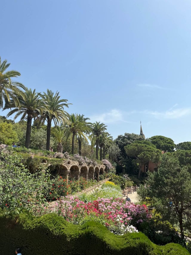 incredible landscaping at Parc Guell in Barcelona